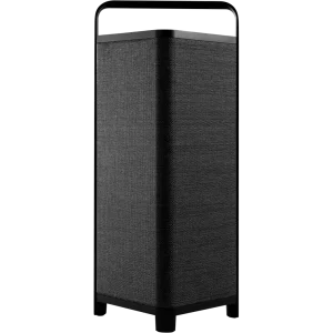 Enceinte portable P6 BT 1